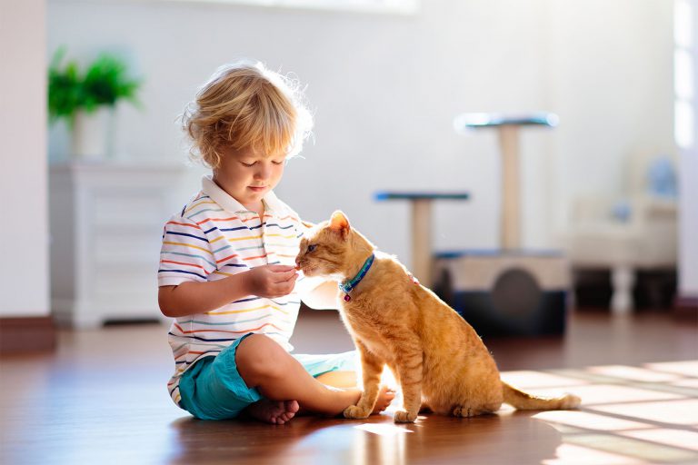 Young boy sits cross-legged in home gently feeding his ginger cat.