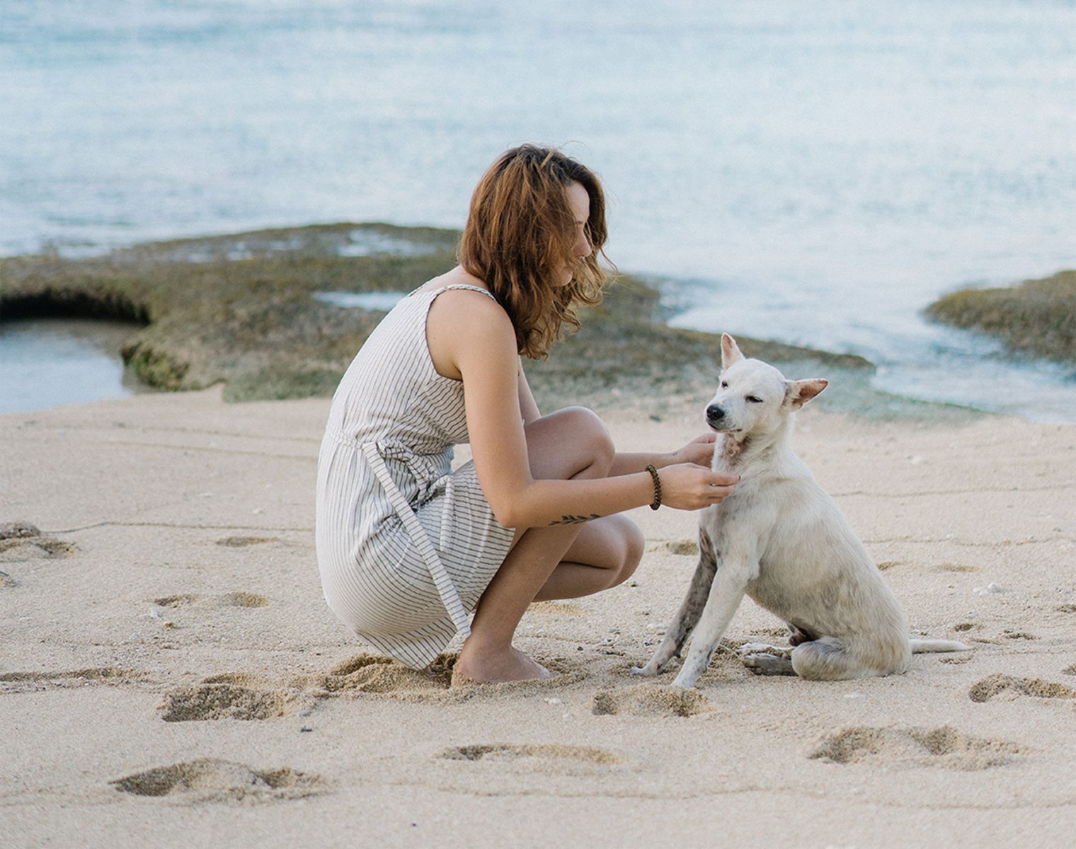 Premium & Private Pet Cremation Edenhills Pet Cremations