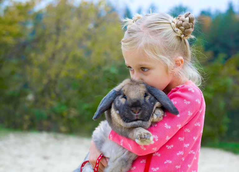 Young girl holding her big black and brown rabbit close whilst kissing its head