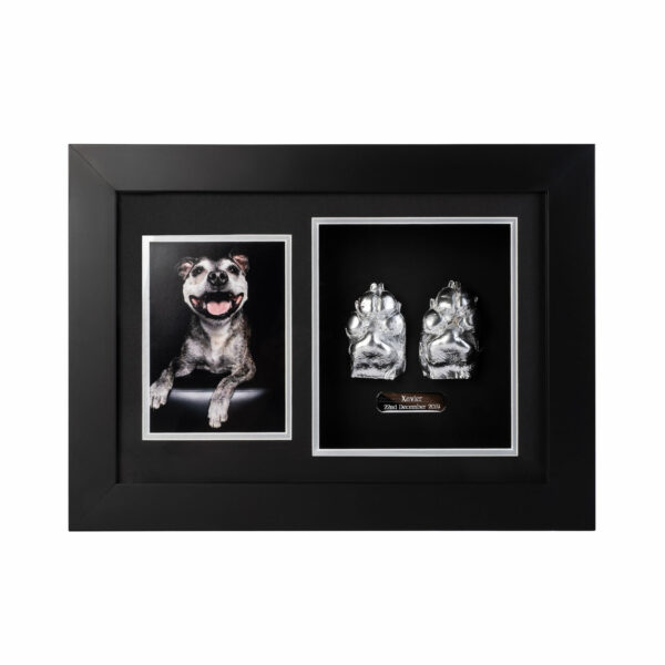 framed-paw-casting-double-paws-photo-edenhills-pet-cremation