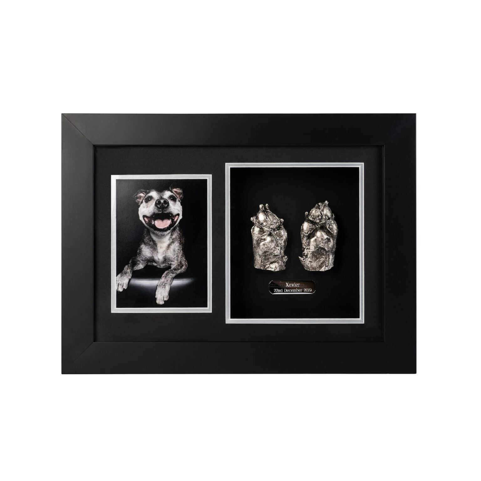 Double The Paws? Find Out Which Breeds Have Rear Dewclaws! - um9byk3