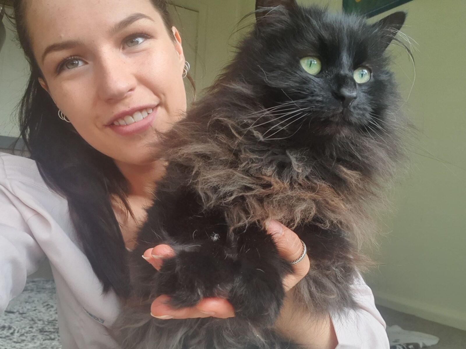 community-support-edenhills-pet-cremation